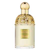 Guerlain Aqua Allegoria Herba Fresca 125 ml