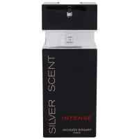 Bogart Silver Scent Intense 100 ml