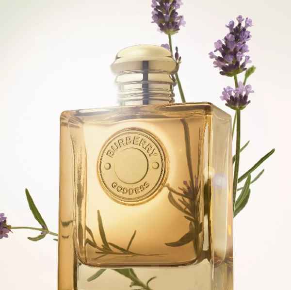 Burberry Goddess 100 ml-7DkFu.jpeg