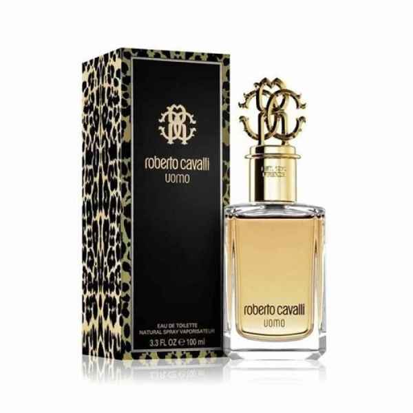 Roberto Cavalli Uomo 100 ml-9Dvzl.jpeg