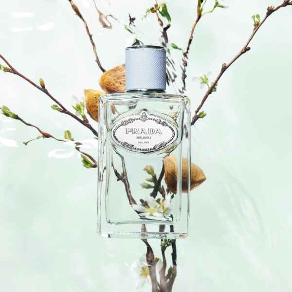 Prada Infusion d'Amande 100 ml-IlsD4.jpeg