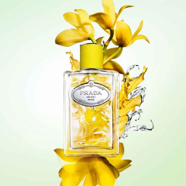 Prada Infusion d'Ylang 100 ml-PniA1.jpeg