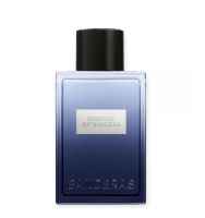 Antonio Banderas Essence of Success 100 ml