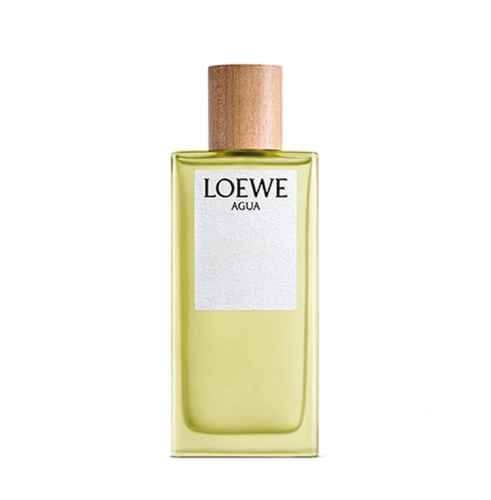Loewe Agua 100 ml