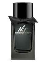 Burberry Mr. Burberry 100 ml 