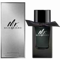 Burberry Mr. Burberry 100 ml