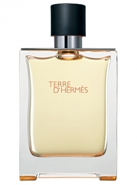 Hermes TERRE 100 ml